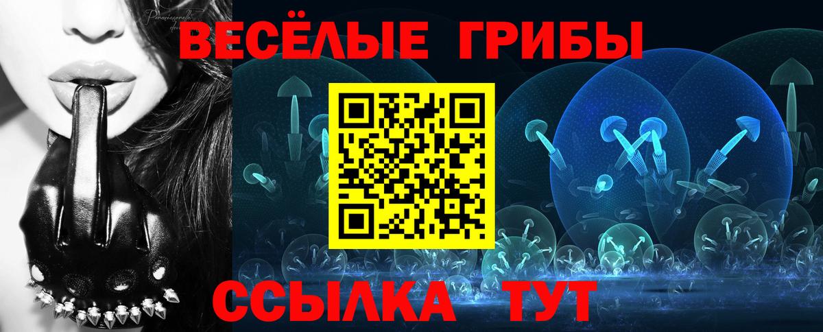 Галлюциногенные грибы Psilocybe Верхняя Пышма